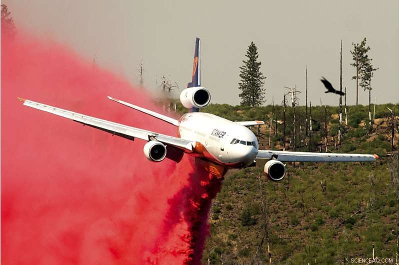 California Fire Near Yosemite Controlled, Thousands Evacuated; 55 Homes Lost