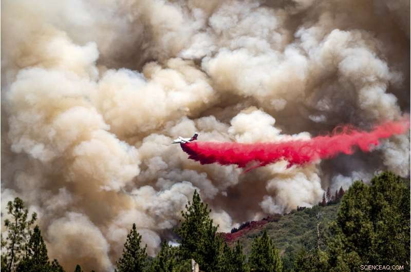 California Fire Near Yosemite Controlled, Thousands Evacuated; 55 Homes Lost