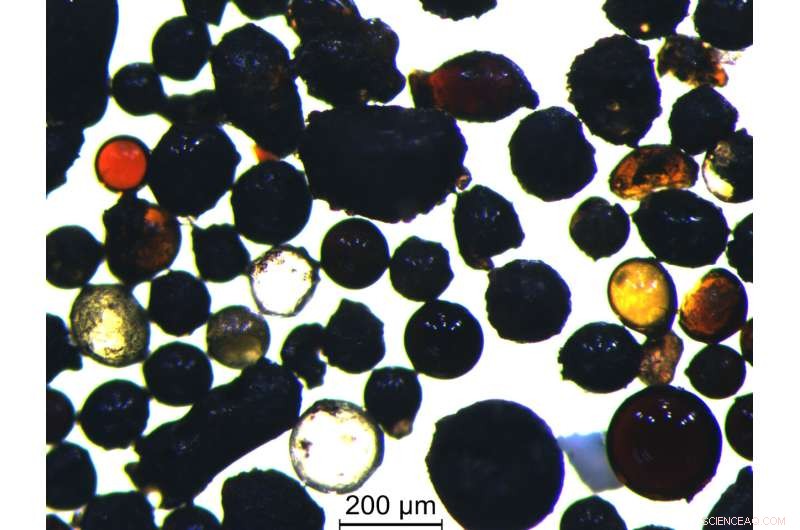 Lunar Glass Reveals Parallel Asteroid Impact Events on Earth and the Moon