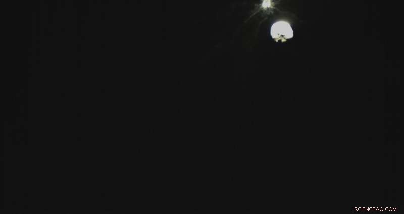 Astronomers Celebrate First Images of Controlled Asteroid Impact