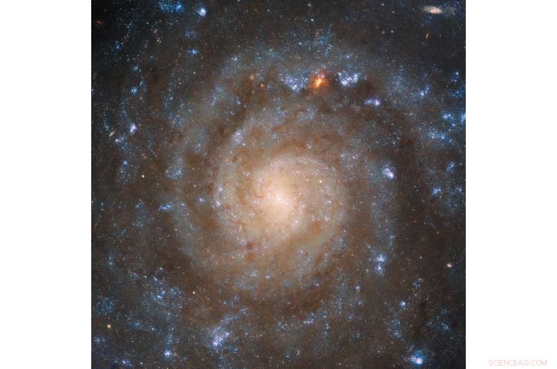 James Webb and Hubble Reveal Intricate Structures in Spiral Galaxy IC 5332