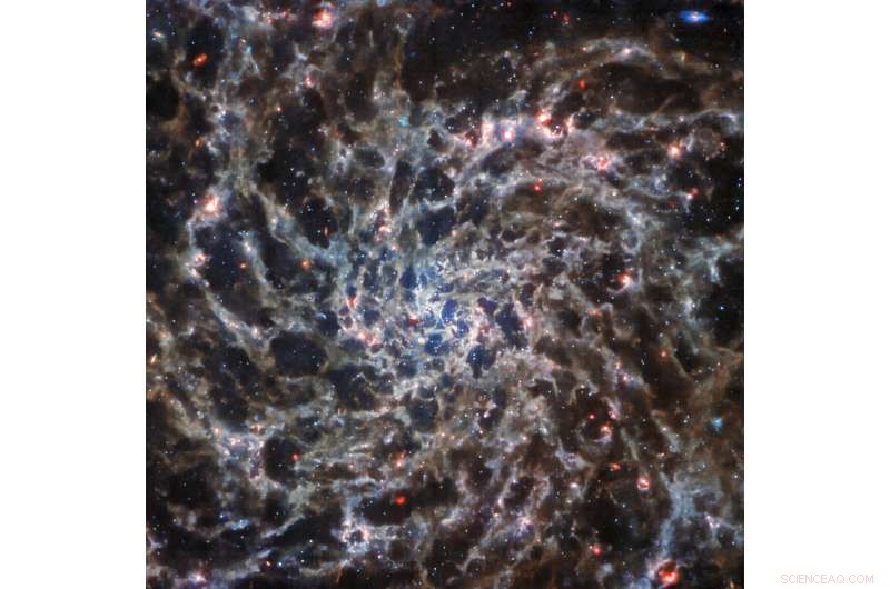 James Webb and Hubble Reveal Intricate Structures in Spiral Galaxy IC 5332