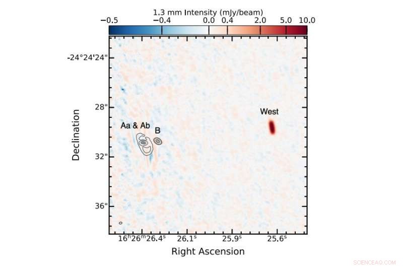 New Study Reveals VLA 1623 West as a Young Protostellar Disk