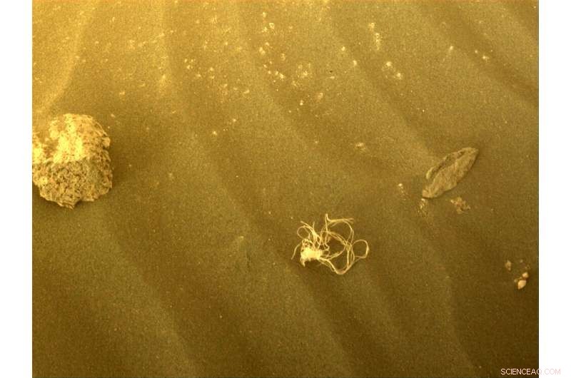 Mars Holds 15,694 Pounds of Human Trash From 50 Years of Robotic Exploration