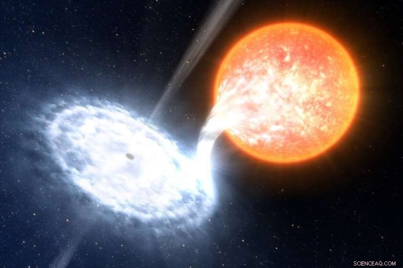 Sun‑like Star Detected Orbiting a 10‑Solar‑Mass Black Hole Nearby
