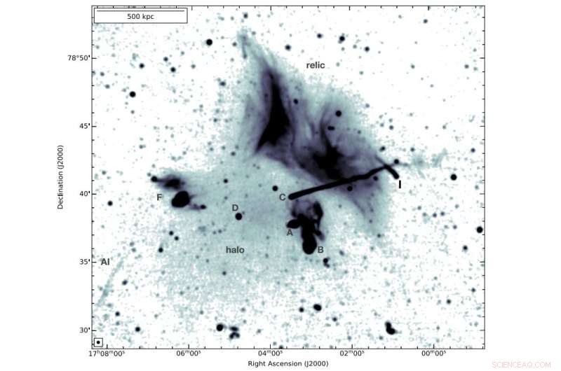 In-Depth Study of the Radio Halo in Galaxy Cluster Abell 2256