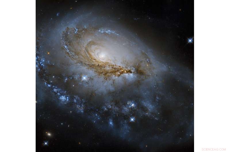 Hubble Telescope Reveals Stunning Spiral Arms of Galaxy NGC 1961