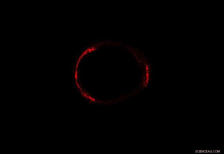 Gravitational Lensing: Unlocking the Universe’s Secrets