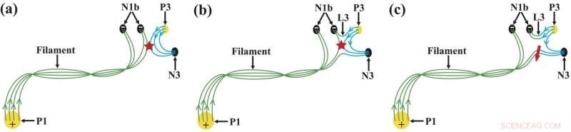 Scientists Uncover How Magnetic Reconnection Triggers Solar Filament Eruptions