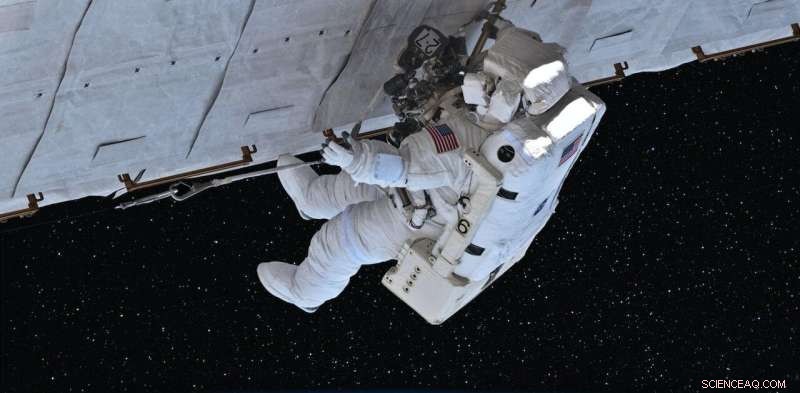 Is Pregnancy Safe in Space? Stem Cell Research in Zero Gravity