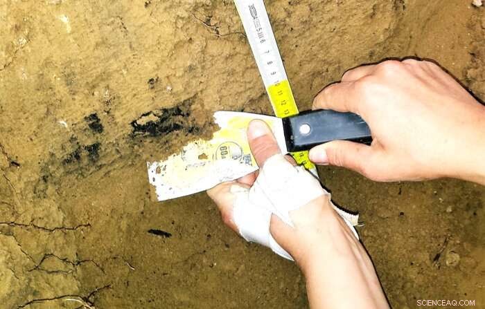 Forensic Analysis Pinpoints Asteroid Impact Sites in Estonia, Poland, and Canada