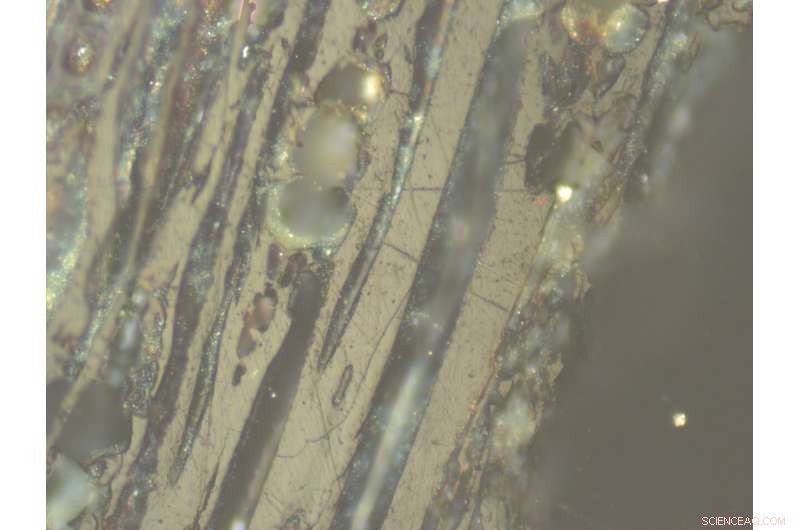 Forensic Analysis Pinpoints Asteroid Impact Sites in Estonia, Poland, and Canada