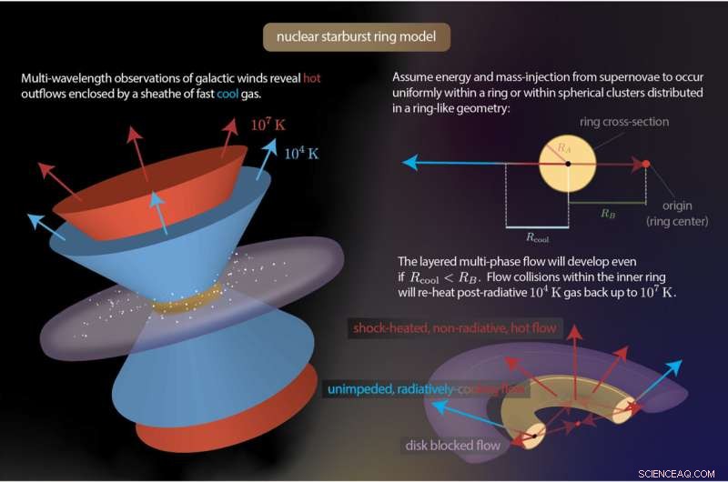 The Role of Superwinds in Shaping Galactic Evolution