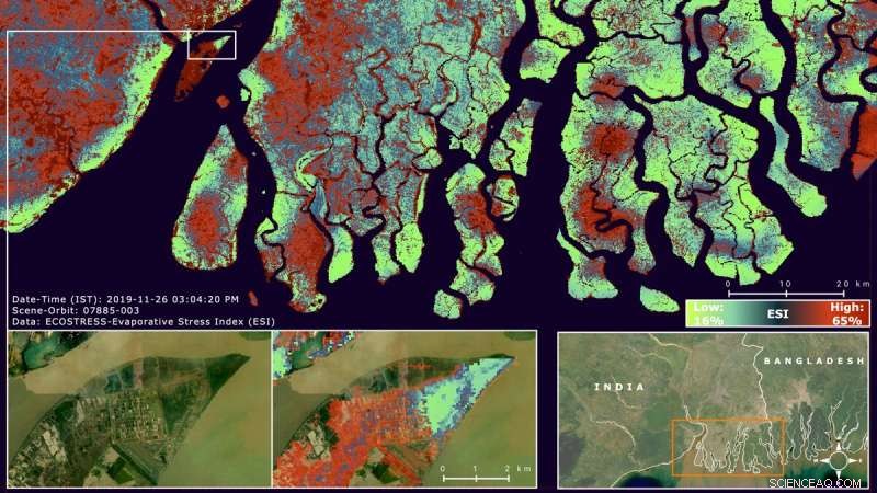 Optimizing Instrument Selection with Objective Metrics for Plant Stress Monitoring