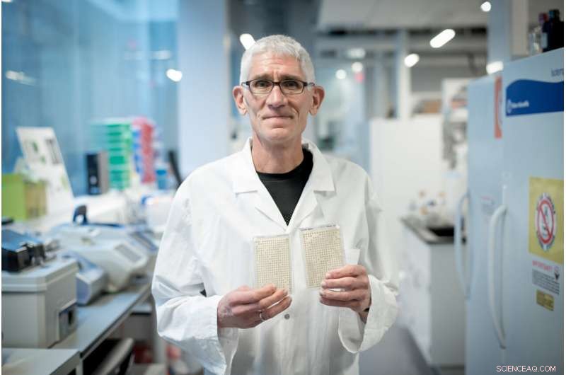 Canadian Scientist Launches Yeast and Algae Experiments on NASA’s Artemis 1