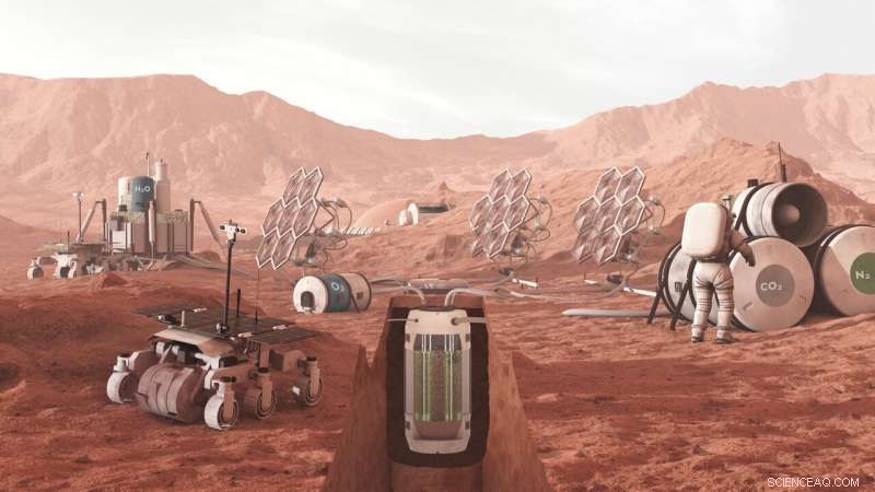 Cyanobacteria Thrive on Martian Dust: Paving the Way for Human Life Support