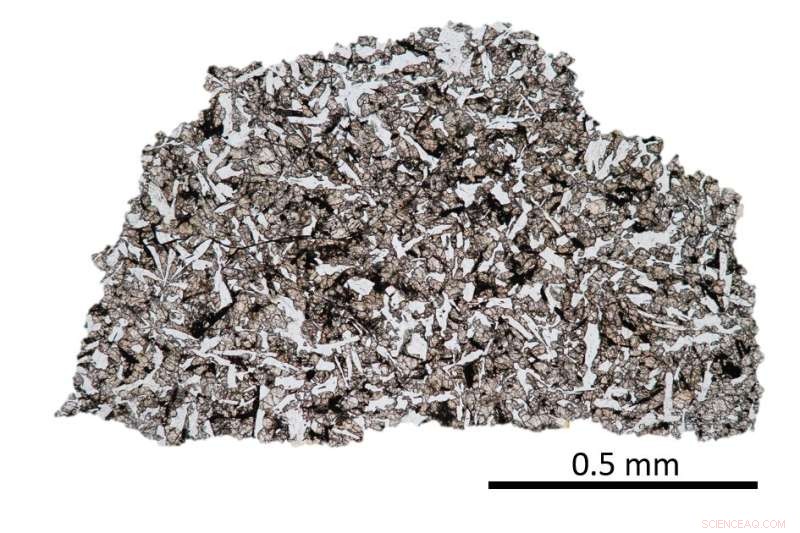 NASA Sample Offers Fresh Clue to the Moon’s Origin