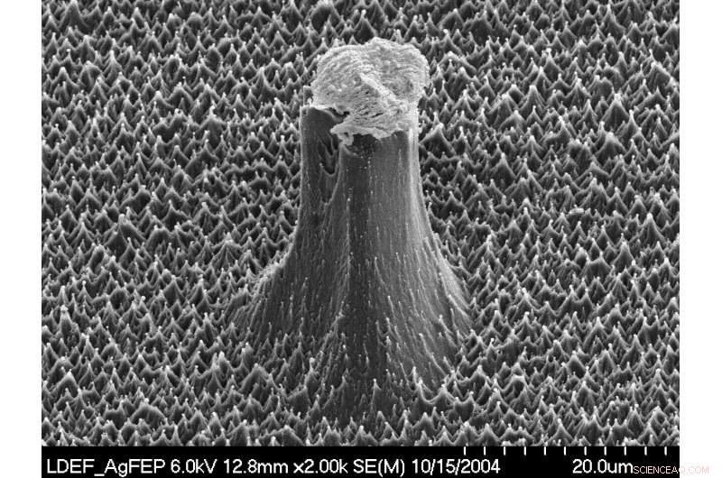 ISS Conducts Advanced Experiments on Organisms and Materials in Space