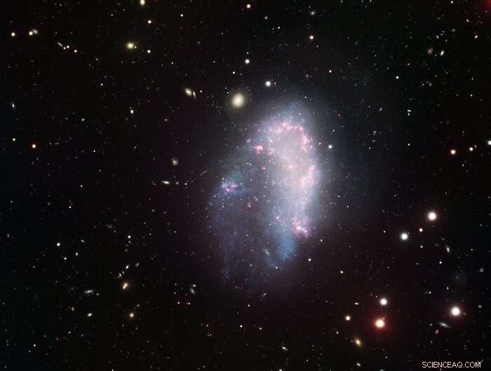 NGC1427A Reveals Missing Dark Matter Halo in Fornax Cluster