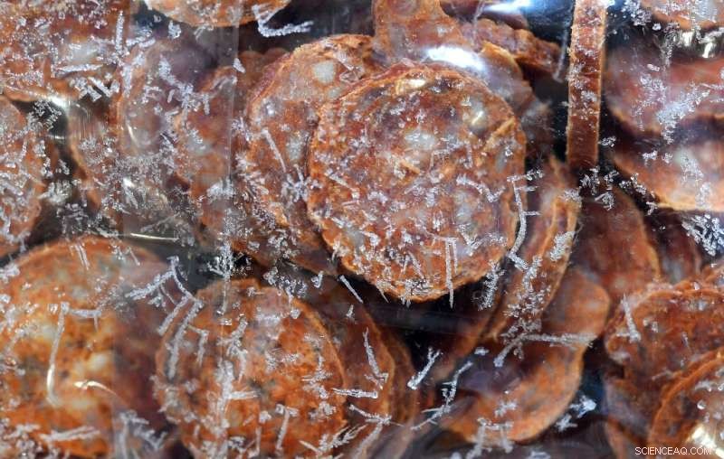 James Webb Telescope Captures Stunning Image of Proxima Centauri: French Scientist s Analysis