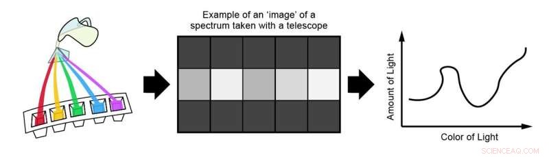 Exploring Habitability: How Astronomy Data Guides the Search for Life-Bearing Exoplanets