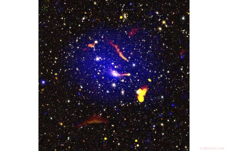 Unexpected Radio Sources Detected in Distant Galaxy Cluster Prompt New Insights