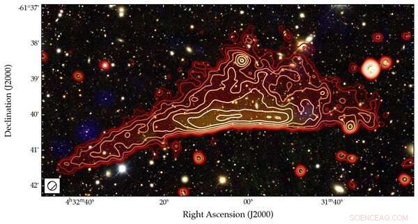 Unexpected Radio Sources Detected in Distant Galaxy Cluster Prompt New Insights