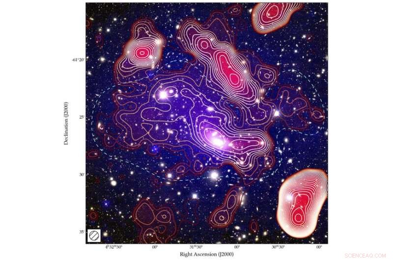 Unexpected Radio Sources Detected in Distant Galaxy Cluster Prompt New Insights