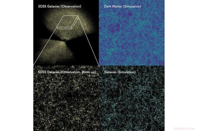 AI-Driven Insights into the 3D Distribution of Galaxies Across the Universe