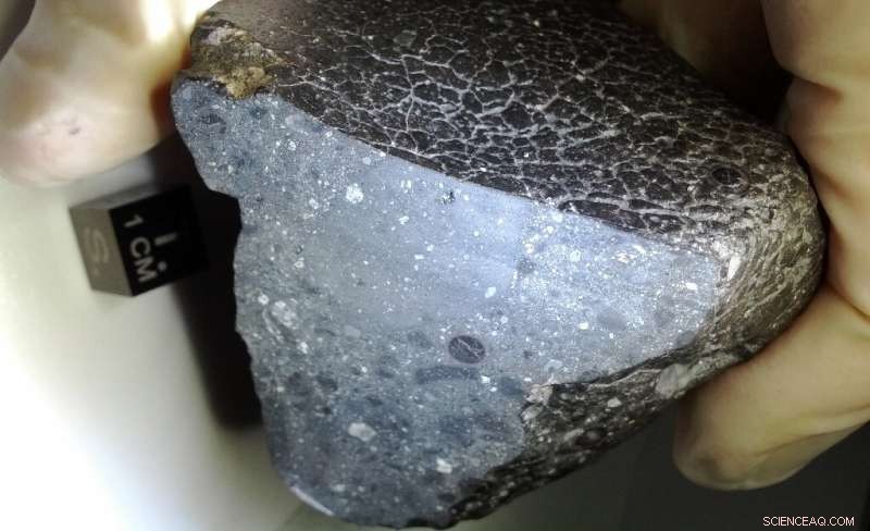 Scientists Discover Crater of Oldest Martian Meteorite