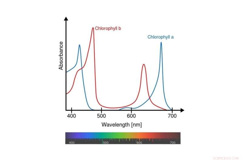 Astronomers Hunt Alien Life by Scanning Exoplanet Atmospheres