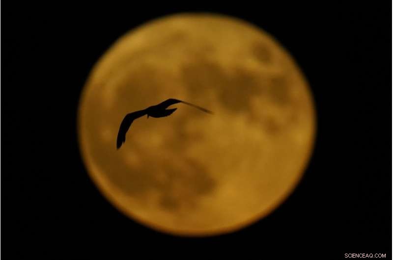 Witness the Global Supermoon: A Stunning Celestial Event