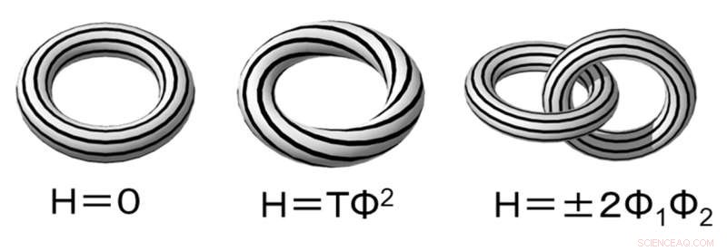 Unveiling Magnetic Helicity Transport: From Solar Interior to Corona
