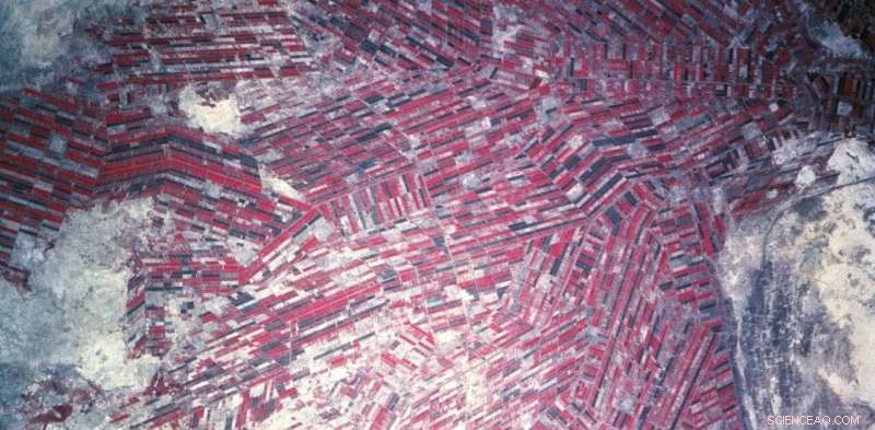 Pioneering Space Agriculture: Cultivating Food in Uncharted Terrains