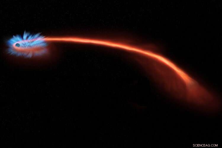 When a Star Meets a Black Hole: The Final Journey of Stellar Material