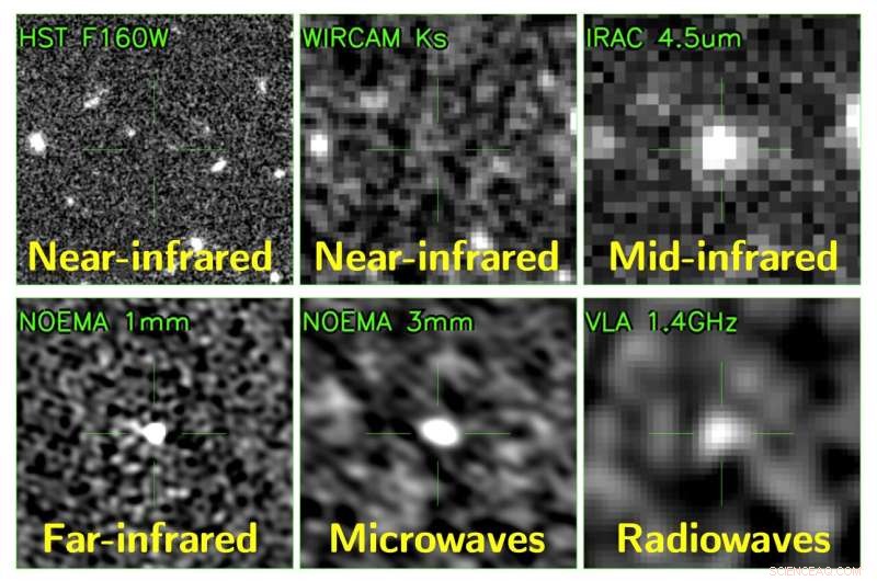 Radio and Microwave Observations Unveil Hidden Dusty Galaxies from the Early Universe
