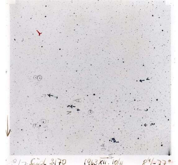 New Online Archive Unlocks Decades of Astronomical Photographic Plates