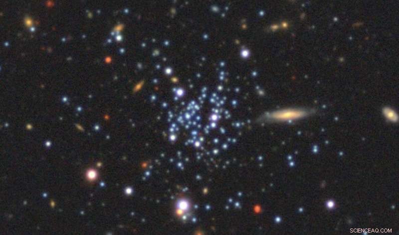 Unveiling Whiting 1: A Rare, Young Globular Cluster in the Sagittarius Stream