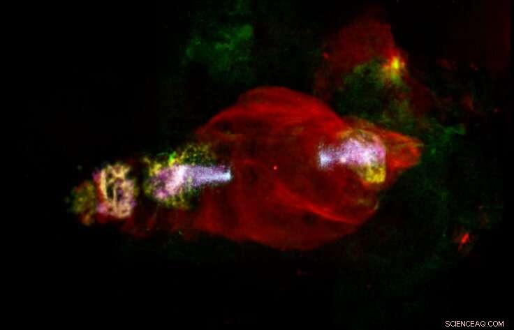 Scientists Identify Source of Powerful X‑Rays in Mysterious Cosmic Manatee