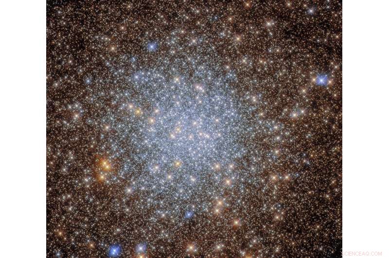 Hubble Uncovers Stellar Riches in Globular Cluster NGC 6569
