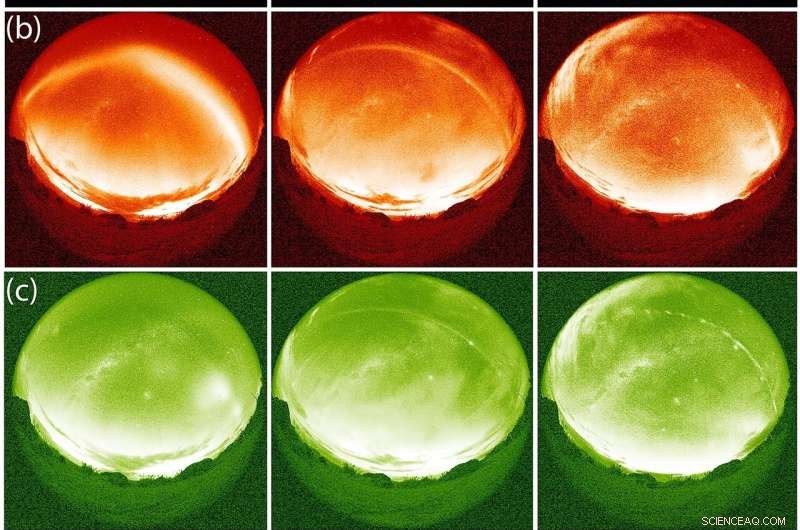 Citizen Scientists’ 2015 Observations Unveil Groundbreaking Atmospheric Phenomena