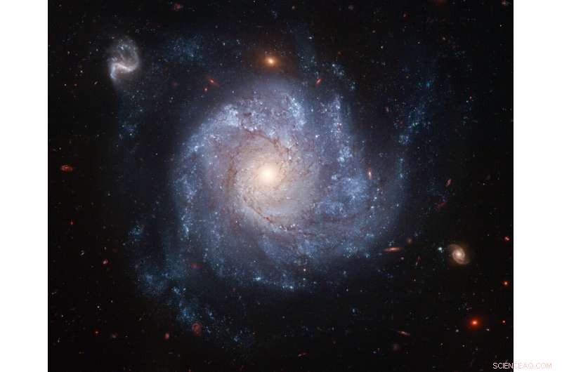 Surviving the Blast: A Star s Unexpected Resilience After a Supernova