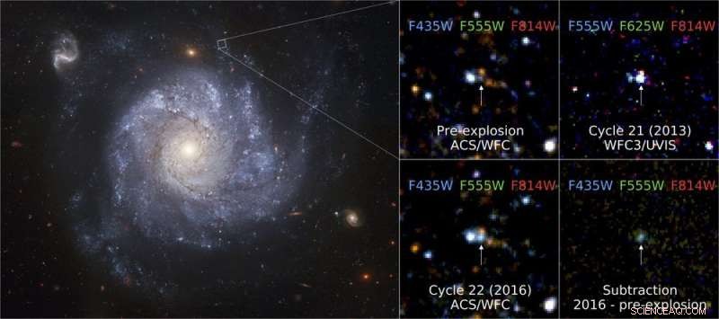 Surviving the Blast: A Star s Unexpected Resilience After a Supernova