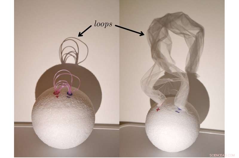 Unveiling the Solar Coronal Veil: Are Magnetic Arches Just an Optical Illusion?