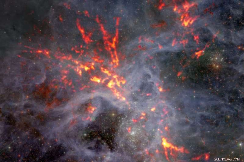 ALMA Unveils Ongoing Star Formation in the Large Magellanic Cloud