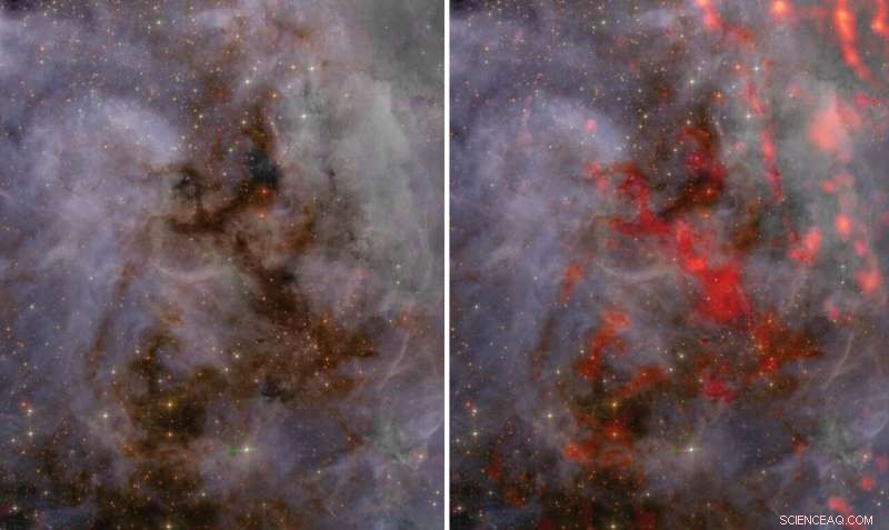 ALMA Unveils Ongoing Star Formation in the Large Magellanic Cloud