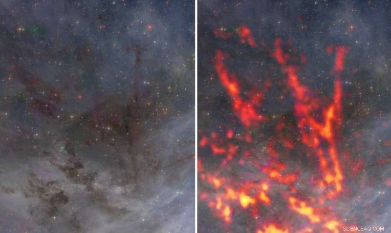 ALMA Unveils Ongoing Star Formation in the Large Magellanic Cloud