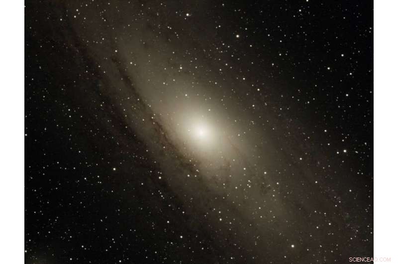 Tracing Andromeda’s Violent Past: Tidal Remnants Reveal a Galactic Collision