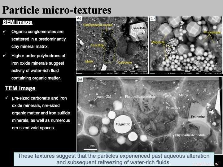 Unveiling the Early Solar System: Insights from Asteroid Ryugu Samples