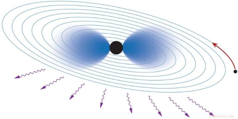 Unveiling Ultralight Particles Around Black Holes Using Gravitational Wave Signals